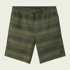 All Day 21" Shorts Dark Green